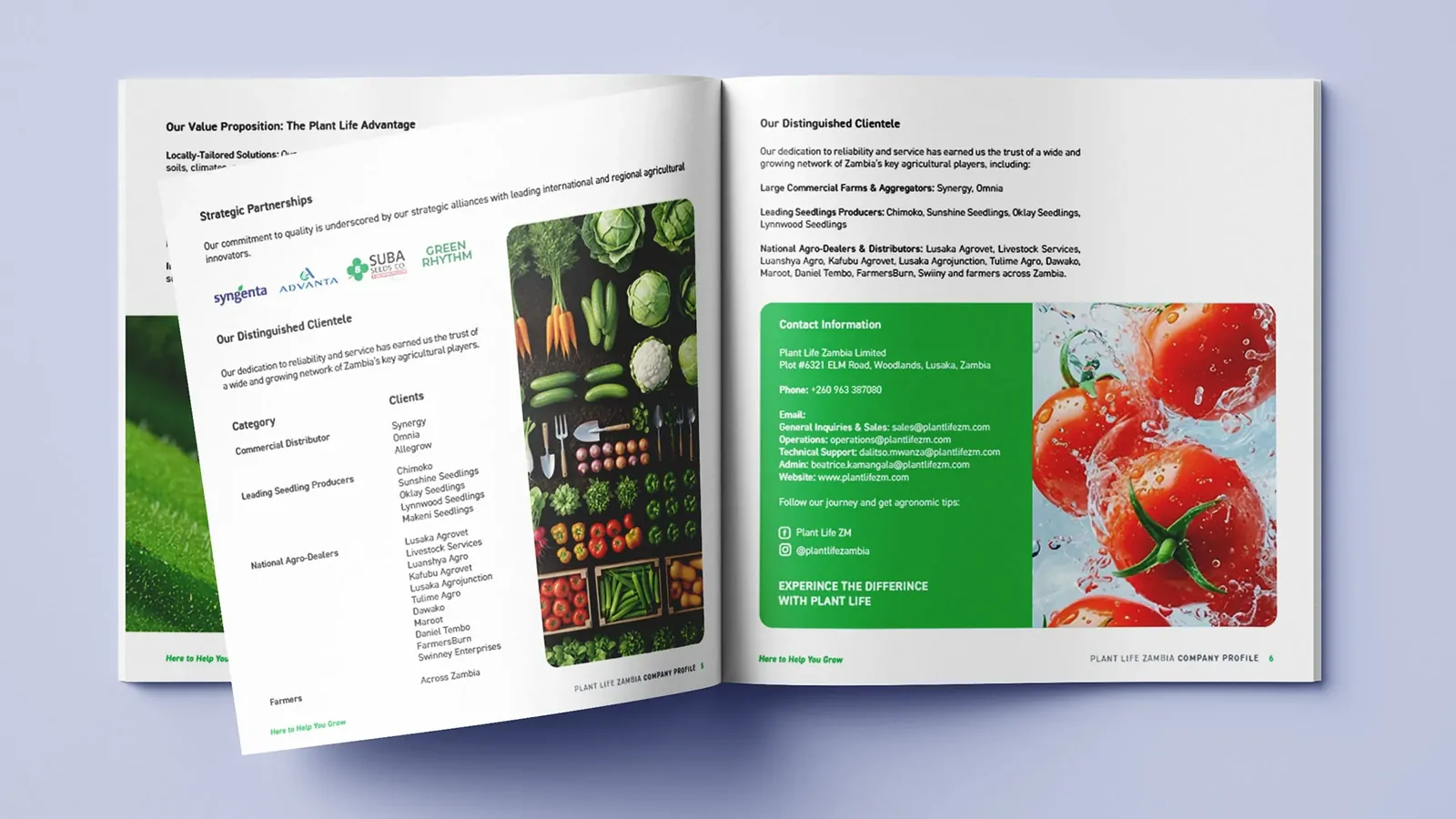 An open spread of the Plantlife company profile with product photography.