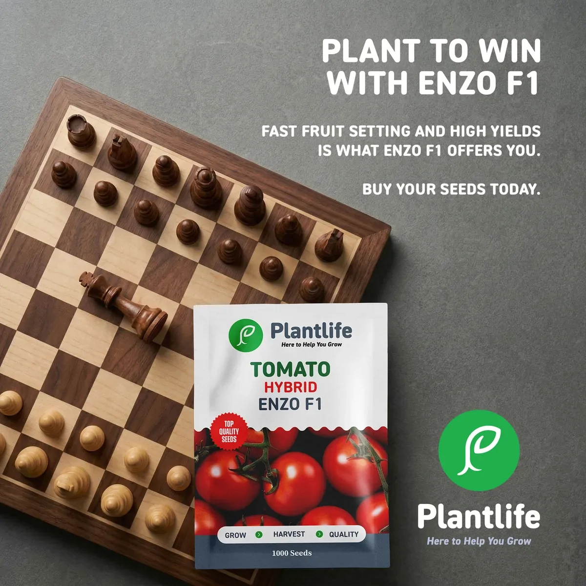 Plant to win with Enzo F1: a chessboard with a Plantlife tomato seed pack.