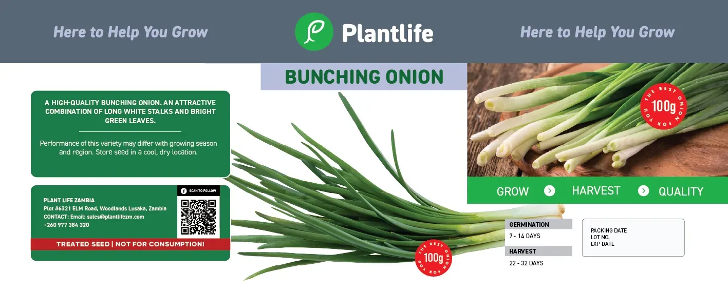 Plantlife 100g tin label for Bunching Onion.
