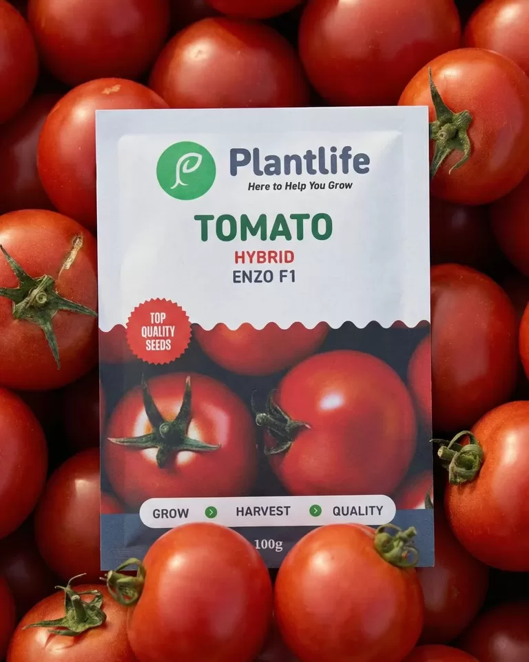 Plantlife Tomato Hybrid Enzo F1 seed pack resting on a pile of ripe red tomatoes.