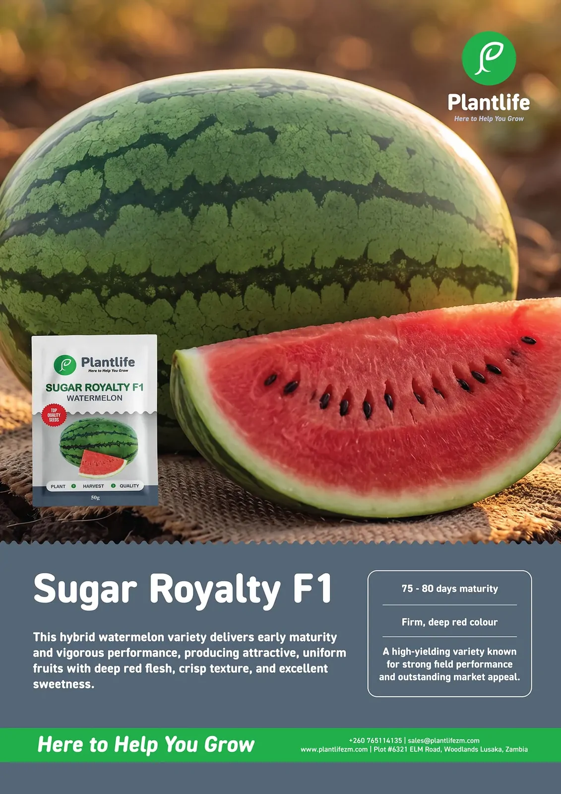 Sugar Royalty F1 poster: a whole and cut watermelon with the Plantlife seed pack and variety details.