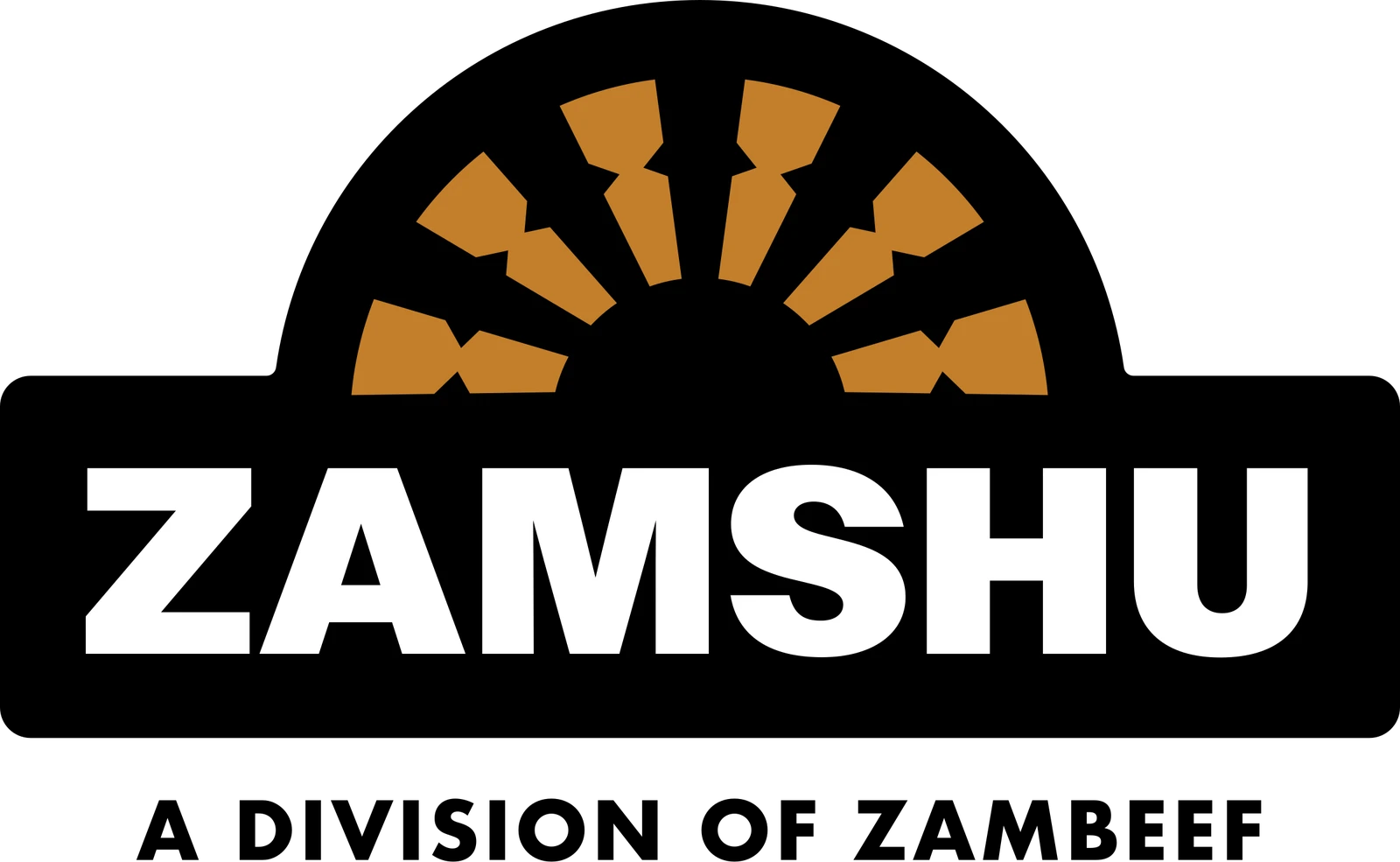 The refreshed ZAMSHU logo: an arched tread mark above a bold ZAMSHU wordmark on a black bar, with A Division of Zambeef beneath.