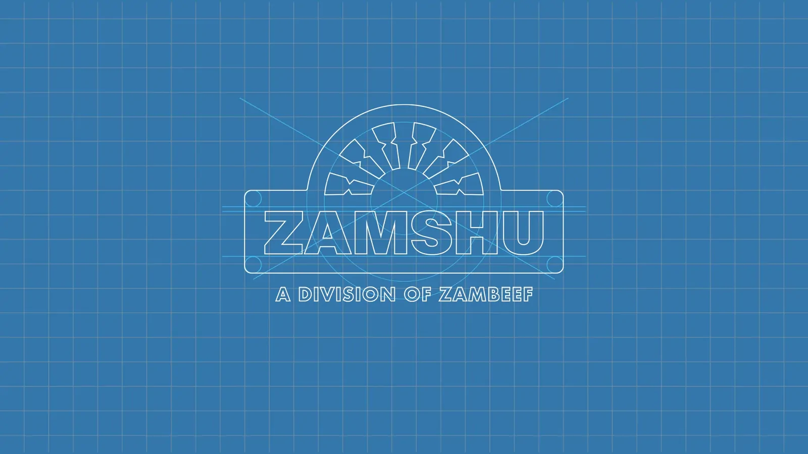 The ZAMSHU logo drawn in white outline on a blue construction grid.